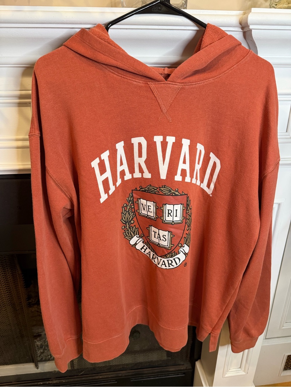 Fleurish Harvard Crest Hoodie in Rust Orange